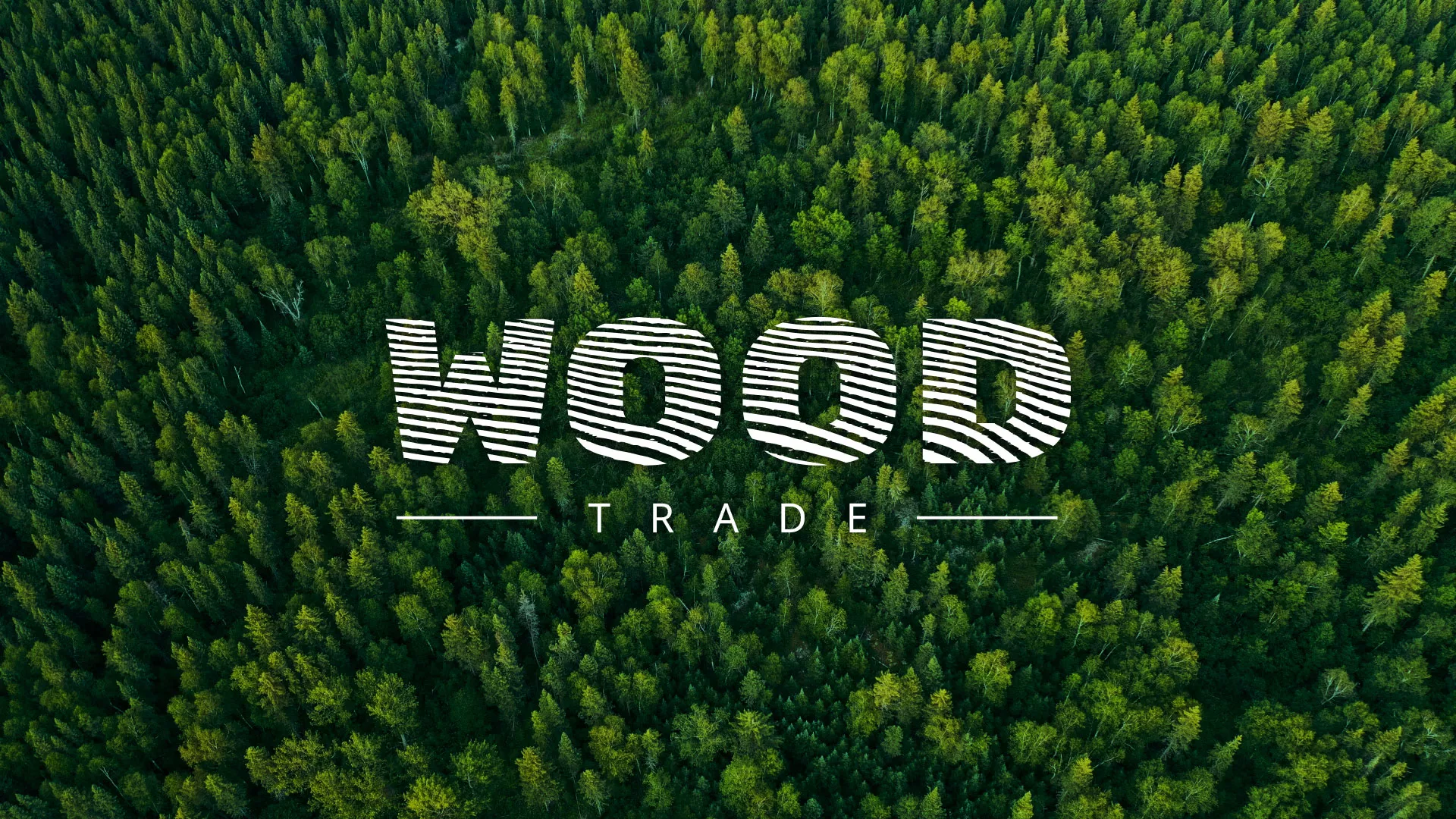 Разработка интернет-магазина компании «Wood Trade» в Большом Камне