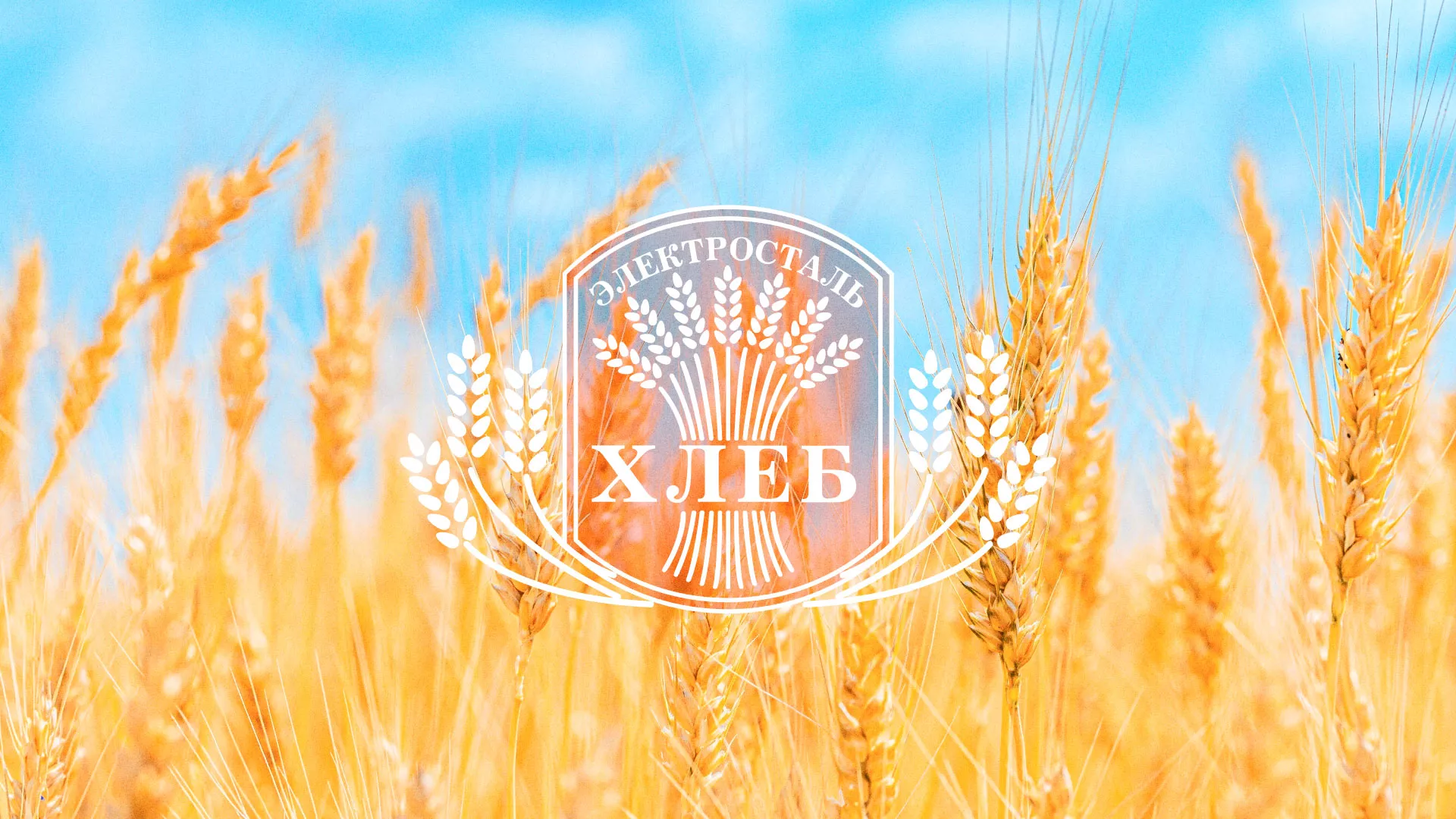 Создание сайта для хлебзавода в Большом Камне